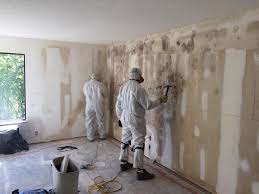 Best Black Mold Removal  in Palmer Ranch, FL